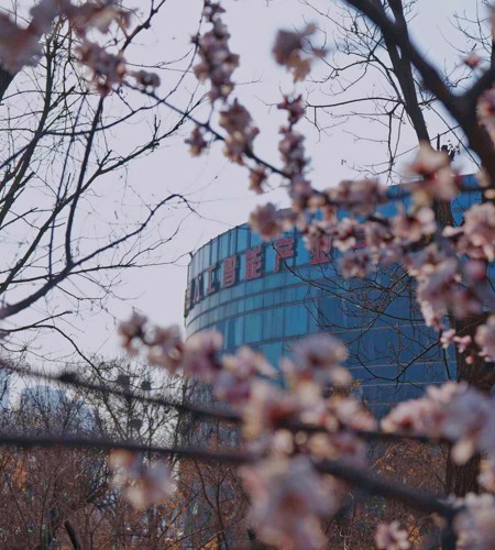 春分 | 今日春来晚，且赴好春光