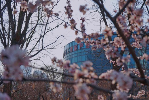 春分 | 今日春来晚，且赴好春光